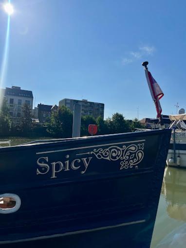 Spicy - Sejour Insolite Sur La Marne Meaux Exterior photo